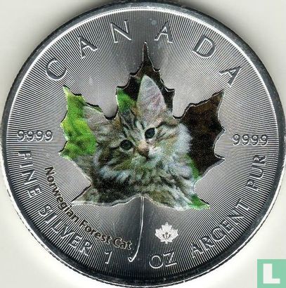 Canada 5 dollars 2017 "Norwegian forest Cat" - Afbeelding 2