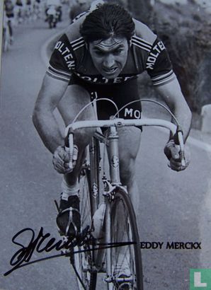 Merckx, Eddy 