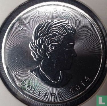 Canada 5 dollars 2014 (gekleurd - hologram) - Afbeelding 1