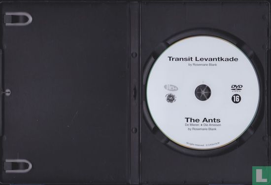 Transit Levantkade + The Ants - Afbeelding 3