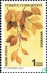 Herbsttraum