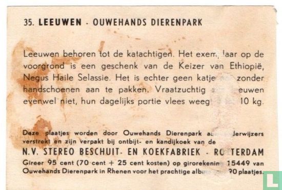 Leeuwen - Bild 2