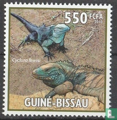 Blauwe iguana