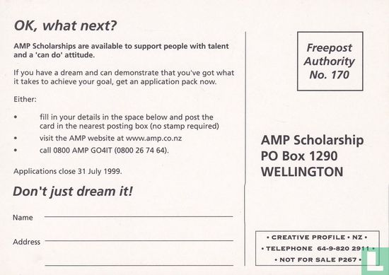 P267 - AMP Scholarship - Afbeelding 2