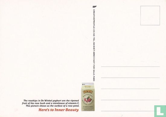 P483 - De Winkel yoghurt - Image 2