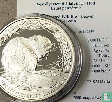 Ungarn 3000 Forint 2000 (PP) "European beaver" - Bild 3