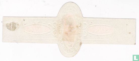 Flor-Extra-Fine - Image 2