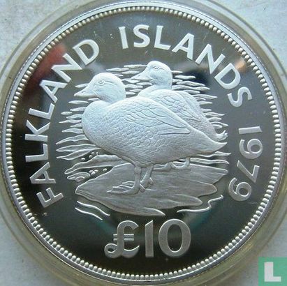 Falkland Islands 10 pounds 1979 (PROOF) "Flightless steamer ducks" - Image 1