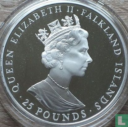 Falklandeilanden 25 pounds 1992 (PROOF) "400th anniversary Discovery of the Falkland Islands" - Afbeelding 2