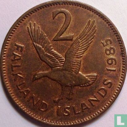 Falklandeilanden 2 pence 1985 - Afbeelding 1