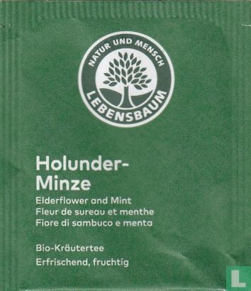 Holunder-Minze - Afbeelding 1