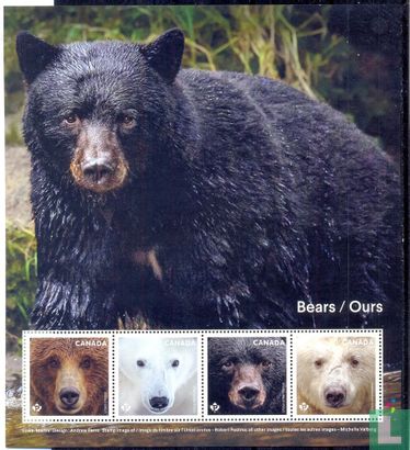 Bären von Kanada