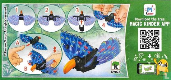 Toucan - Image 3