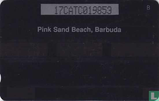 Pink Sand Beach - Bild 2