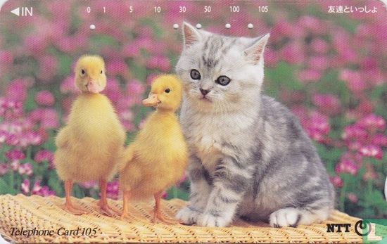 Cat with little Ducks - Bild 1
