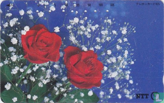 Roses - Bild 1