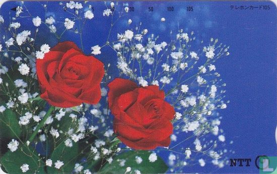 Roses - Afbeelding 1