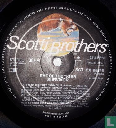 Eye of the Tiger - Image 3