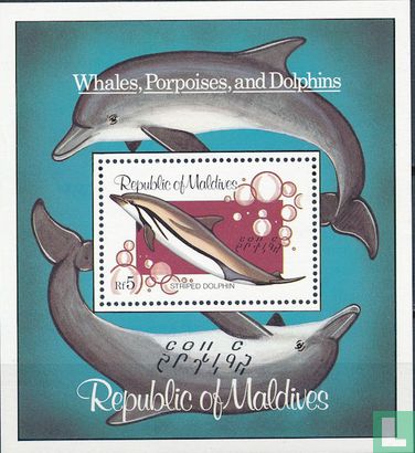 walvissen en dolfijnen