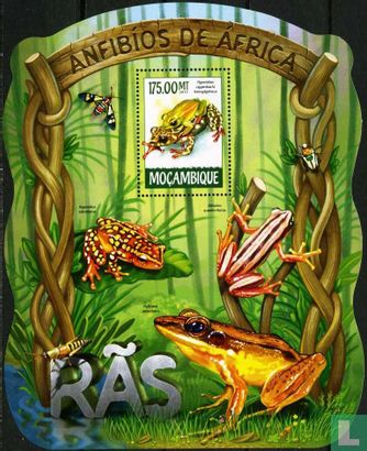 Les grenouilles