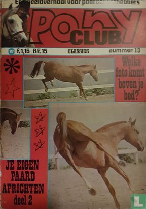 Ponyclub 13 - Image 1