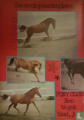 Ponyclub 13 - Bild 2