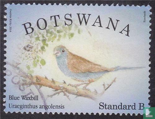 Spectacular Birds from Botswana