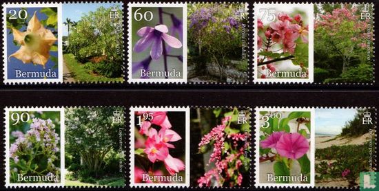 Bermuda in bloom