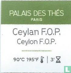 Ceylan F.O.P. - Bild 3