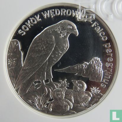 Polen 20 Zlotych 2008 (PP) "Peregrine falcon" - Bild 2