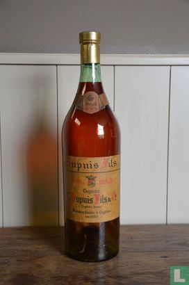 Indrukwekkende promotie fles DUPUIS FILS COGNAC vijf liter - Image 1