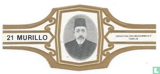 Grand Sultan Mohammed v Turquie - Image 1