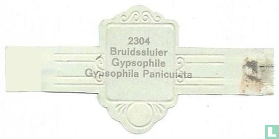 Bruidsluier - Bild 2