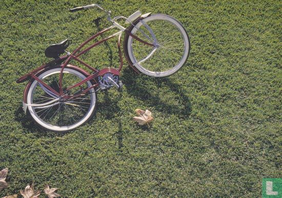 Metaphotos 'las bicicletas' - Afbeelding 1
