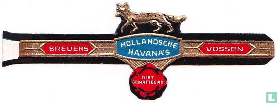 Hollandsche Havana's niet gematteerd - Breuers - Vossen  - Afbeelding 1