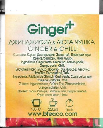 Ginger & Chili  - Afbeelding 2