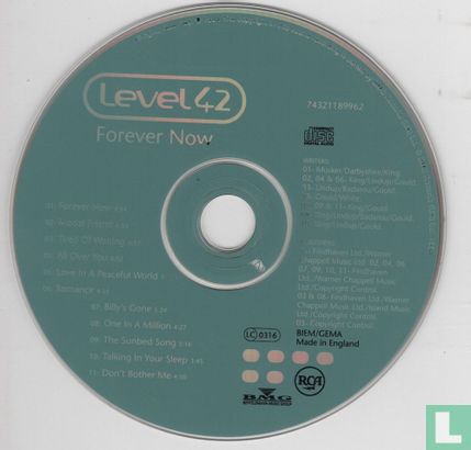 Forever Now - Image 3