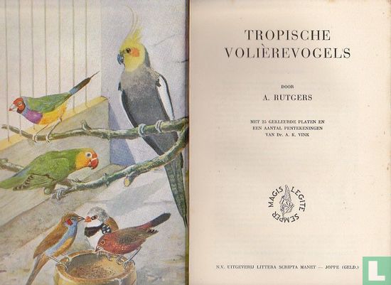 Tropische voliére vogels - Afbeelding 3