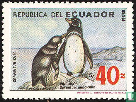 Galapagospinguïn - Afbeelding 1