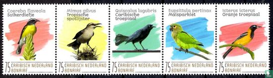 Les oiseaux - Bonaire