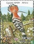 Israelische Vögel 
