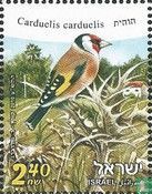 Israeli Birds 
