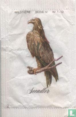 Seeadler - Image 1
