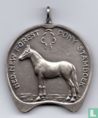Ned. New Forest Pony Stamboek - Image 1