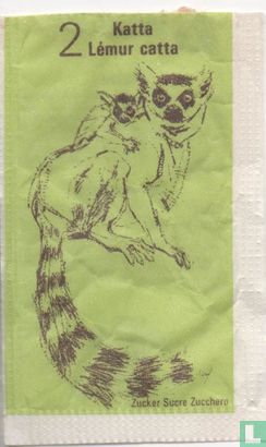 Katta - Lemur Catta - Image 1