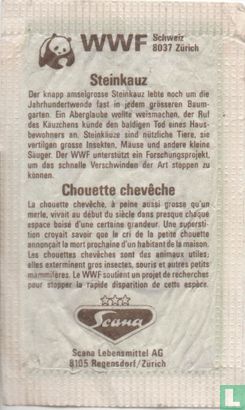 Steinkauz - Chouette Cheveche - Bild 2
