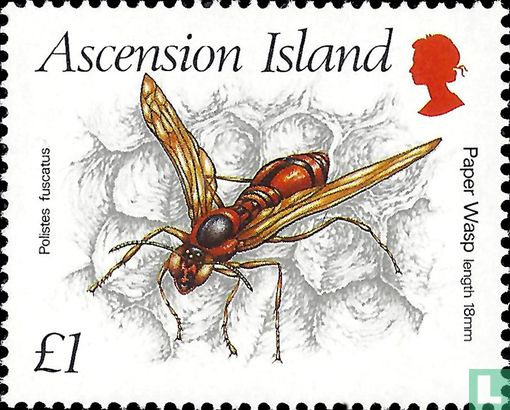 Insects