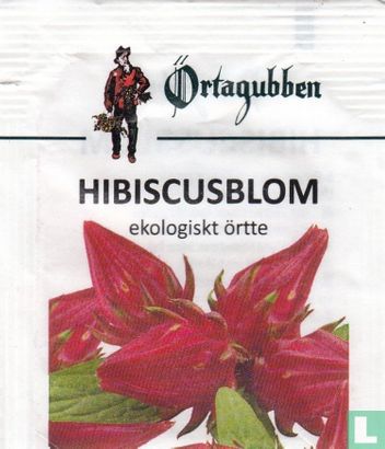 Hibiscusblom - Image 1