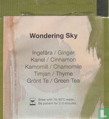 Wondering Sky - Image 2