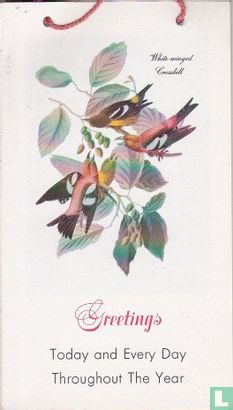 1954 Audubon Calendar - Bild 2